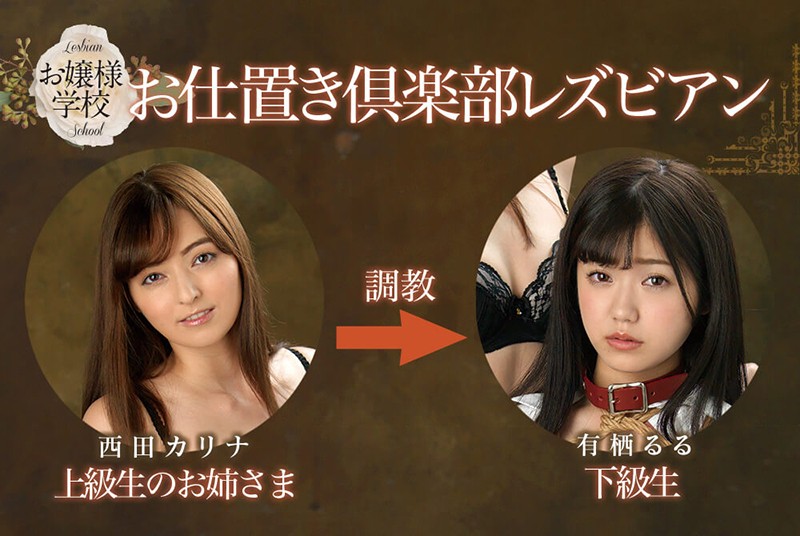 BBAN00256 サンプル10