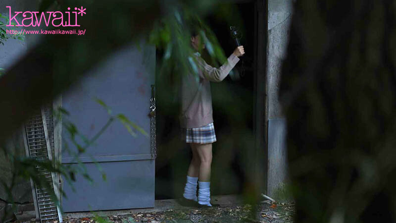 CAWD00973 サンプル4