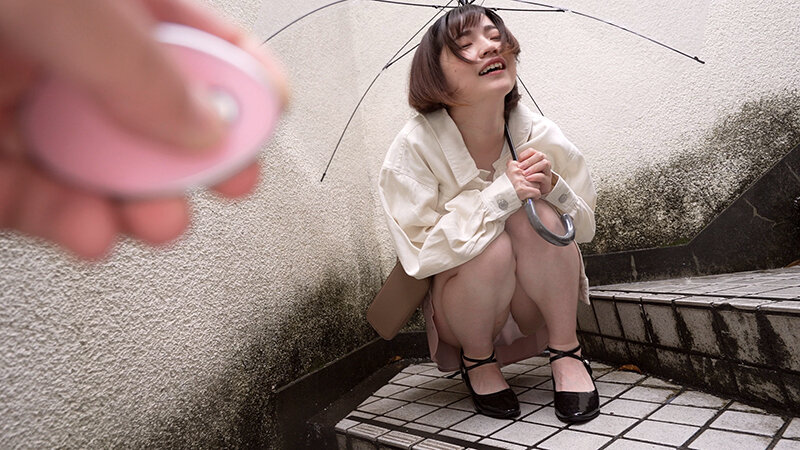 CEMD00406 サンプル1