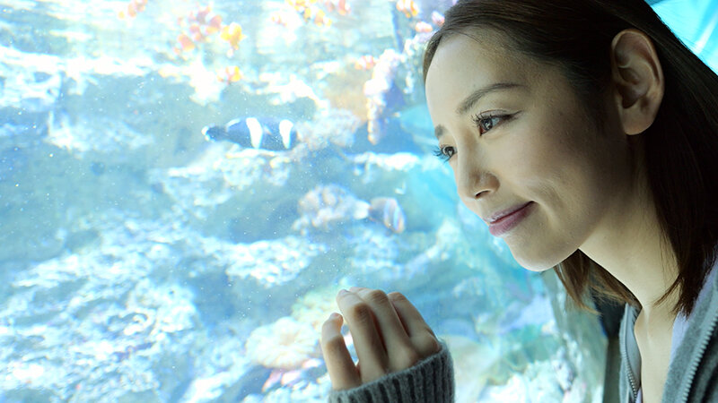 CEMD00560 サンプル1