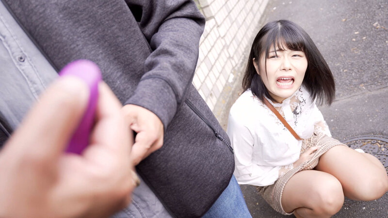 CEMD00711 サンプル1