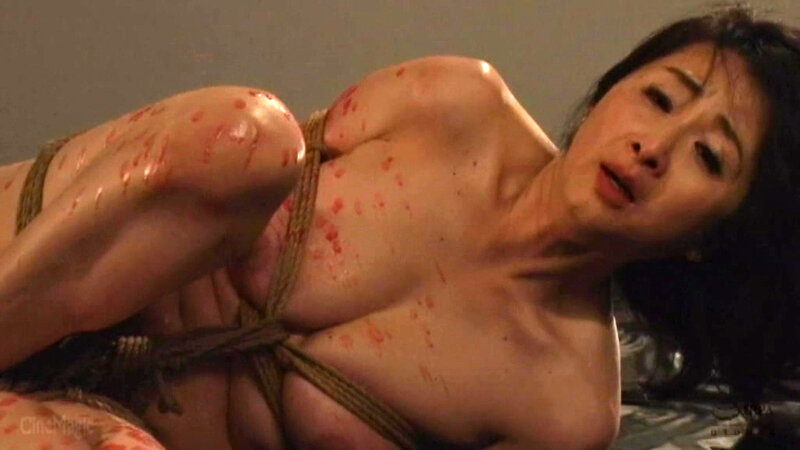 CMN00259 サンプル17