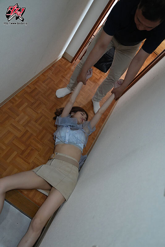 DASS00864 サンプル1