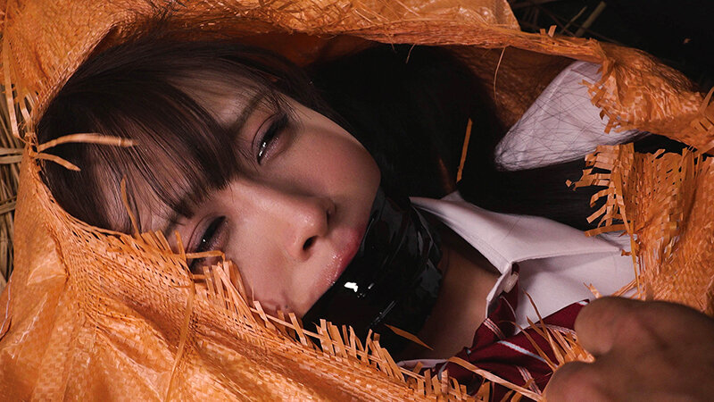 DDK00238 サンプル3