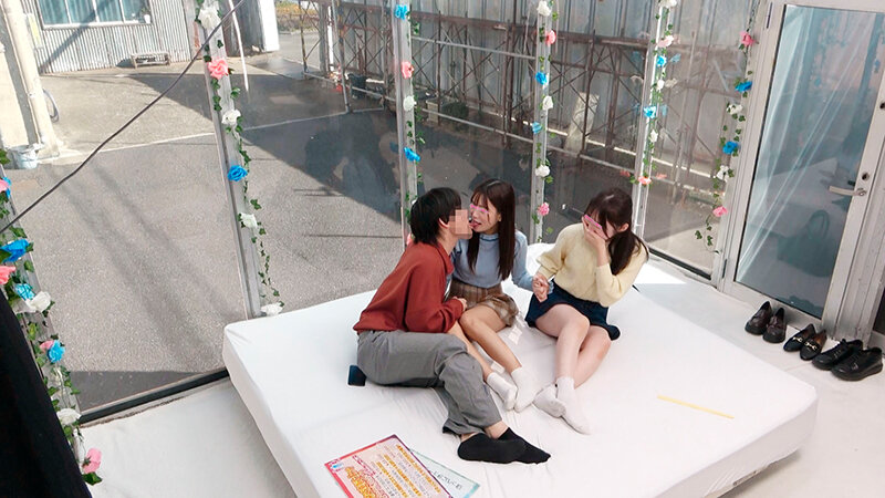 DVMM00246 サンプル2