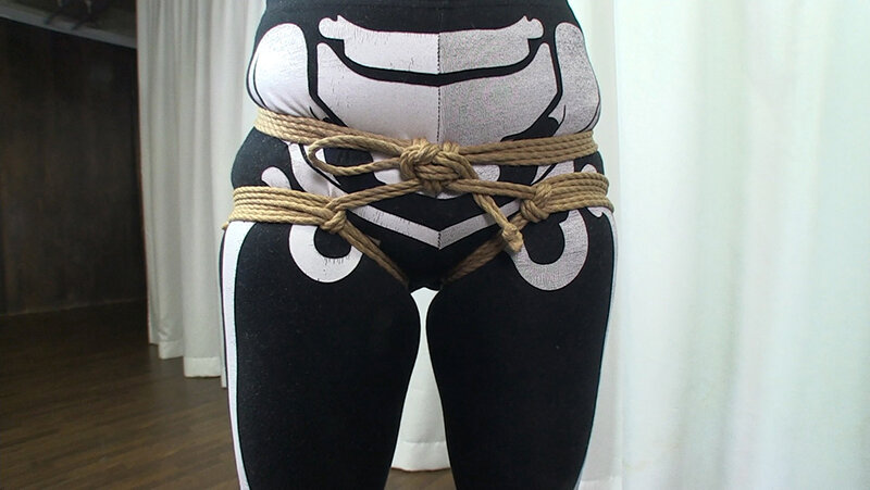 H_019ACZD00117 サンプル14