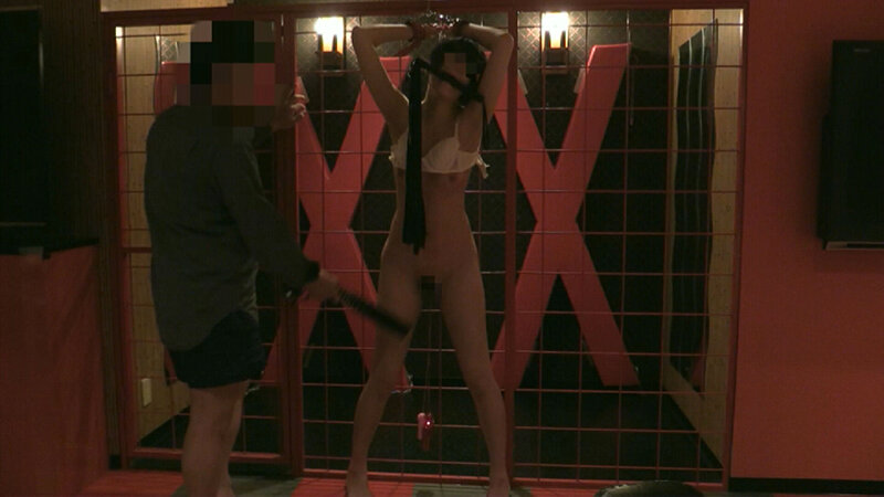 H_019ACZD00148 サンプル15