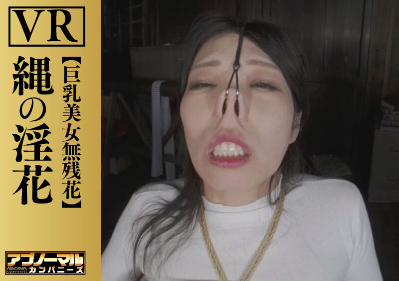 H_019ACZVR00002 サンプル2