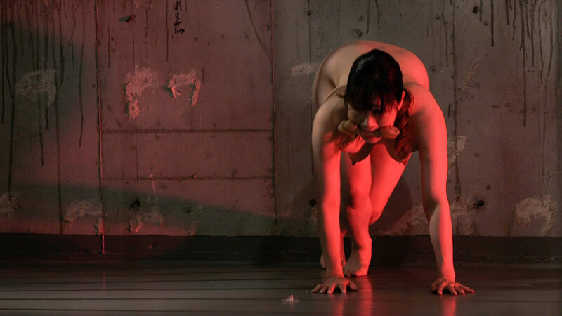 H_1096BDSM00077 サンプル9