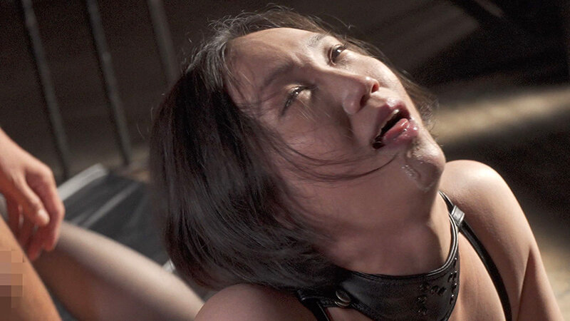 H_1096BDSM00087 サンプル17