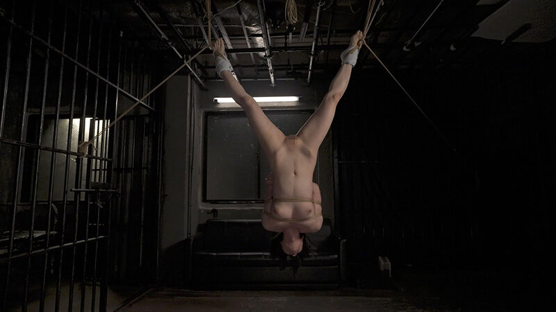 H_1096BDSM00087 サンプル2