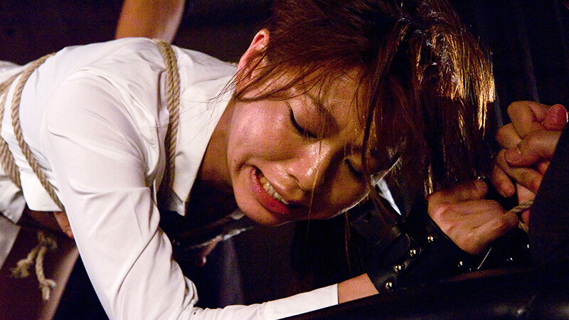 H_1133RMSQ00019 サンプル4