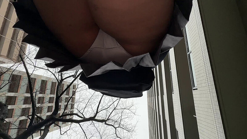 H_1240MILK00213 サンプル2