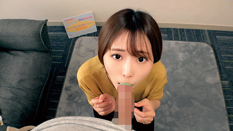 H_1324SKMJ00671 サンプル9