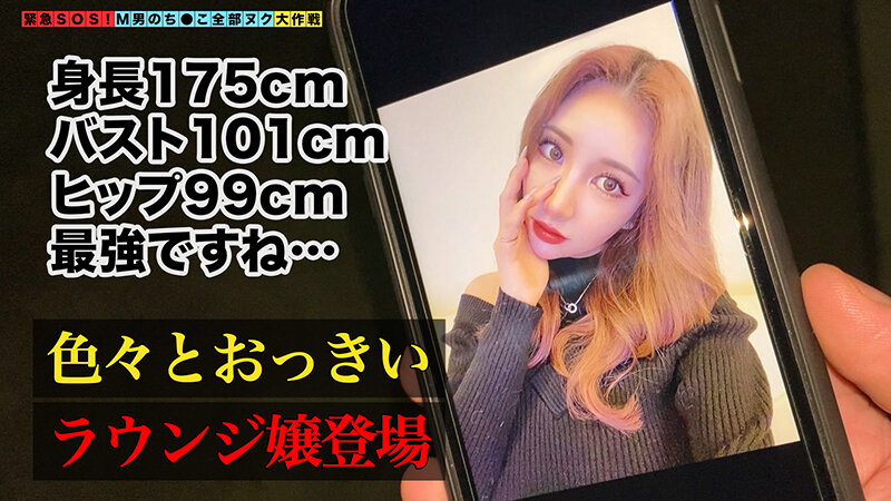 H_1616STCV00132 サンプル2