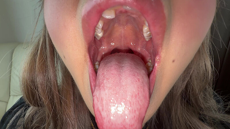 H_1651Y00349 サンプル10