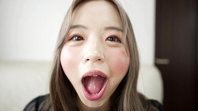 H_1651Y00349 サンプル2