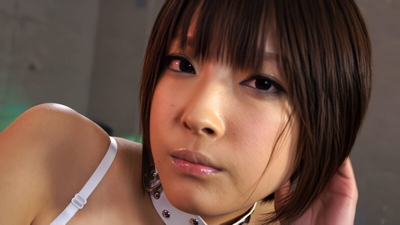 H_1711INF00003AI サンプル2