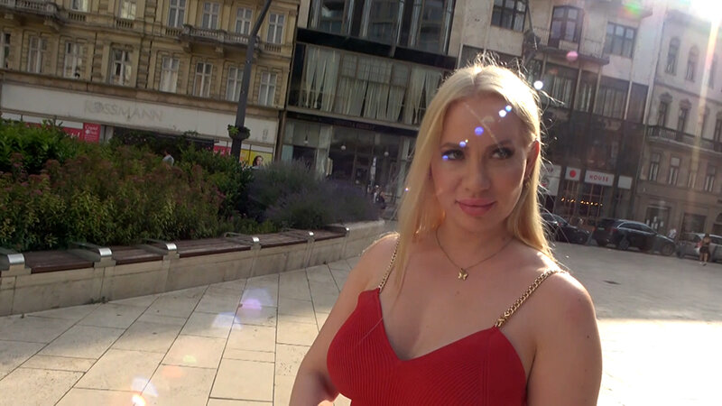 H_1724P134G00001 サンプル1