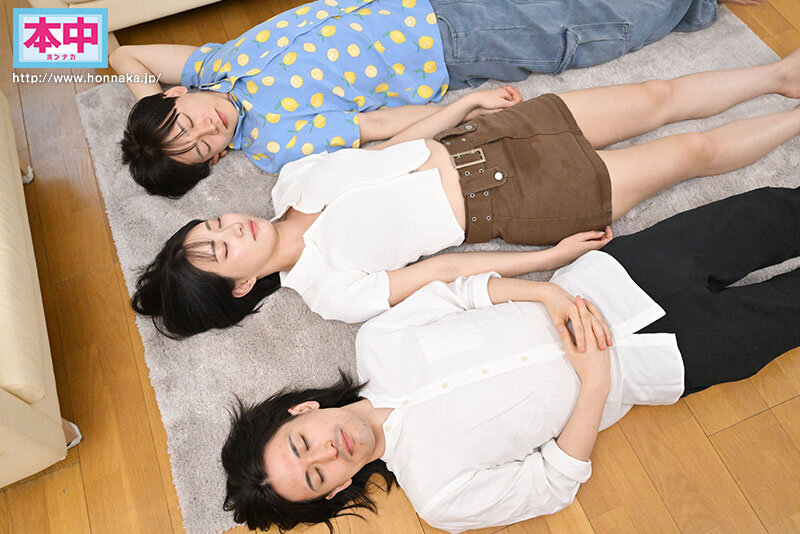 HMN00669 サンプル1