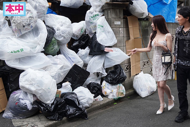 HMN00677 サンプル1