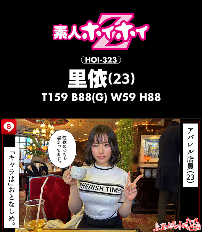 HOIZ00154 サンプル3