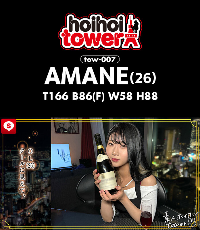 HOIZ00155 サンプル3