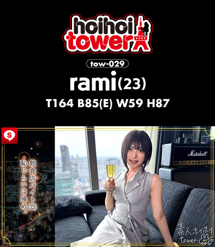 HOIZ00199 サンプル3