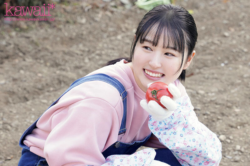 KWBD00385 サンプル3