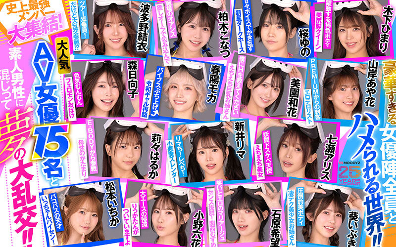 MDVR00388 サンプル3