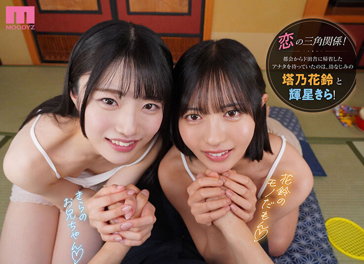 MDVR00394 サンプル2