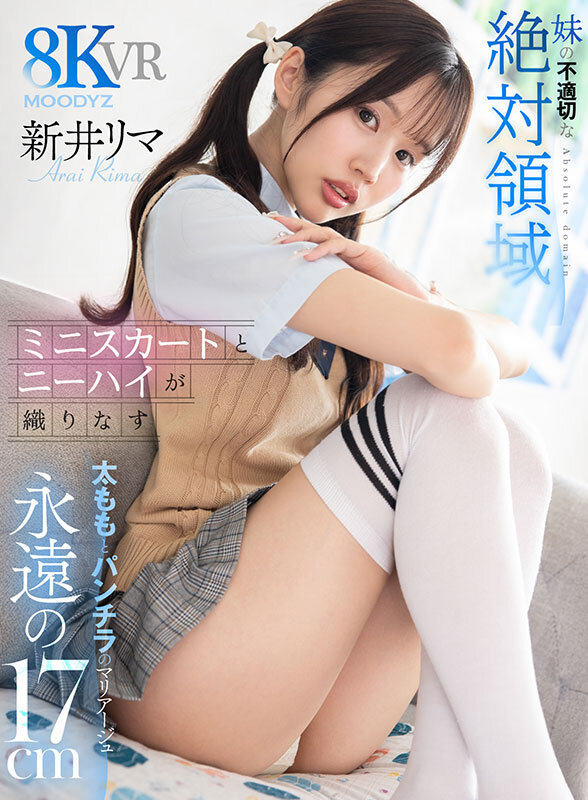 MDVR00408 サンプル1