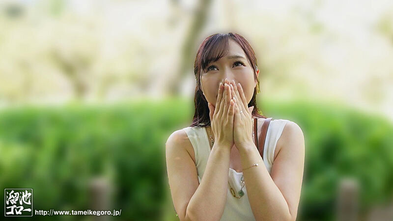 MEYD00981 サンプル1