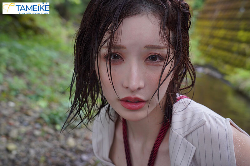 MFYD00090 サンプル1