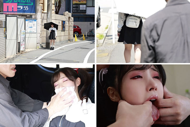 MIAB00386 サンプル1