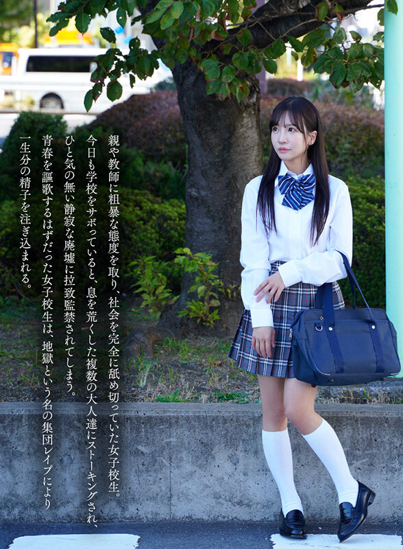 MKMP00549 サンプル1