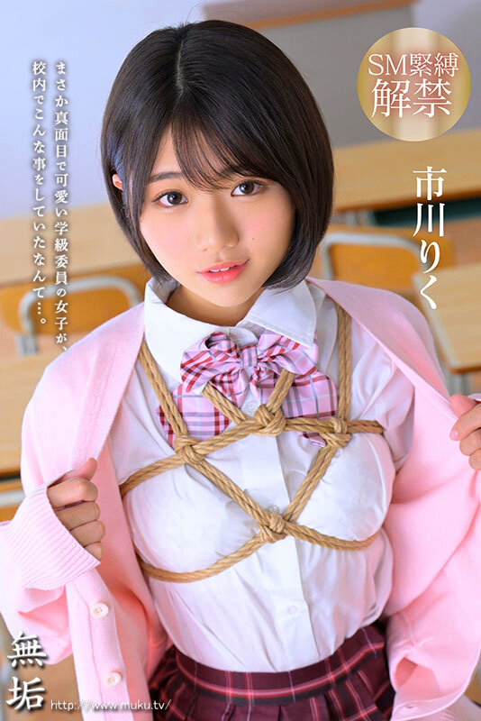 MUDR00373 サンプル1