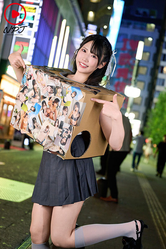 NPJS00255 サンプル1