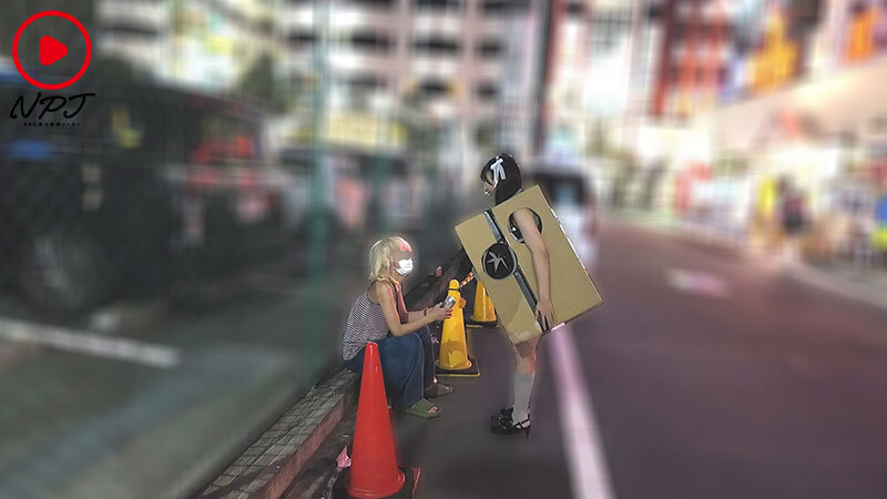 NPJS00255 サンプル2