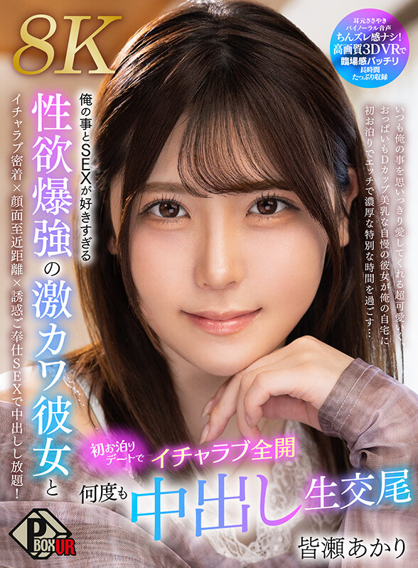 PXVR00383 サンプル1