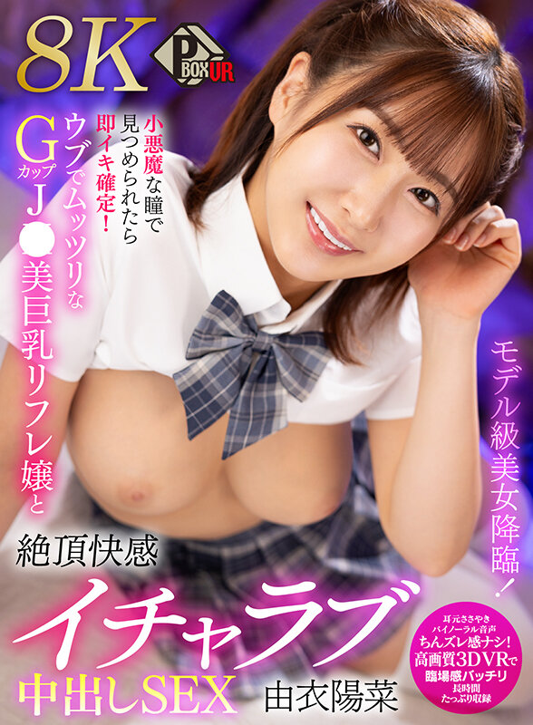 PXVR00385 サンプル1