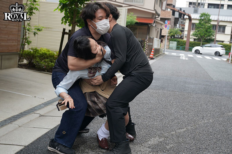 ROYD00278 サンプル1