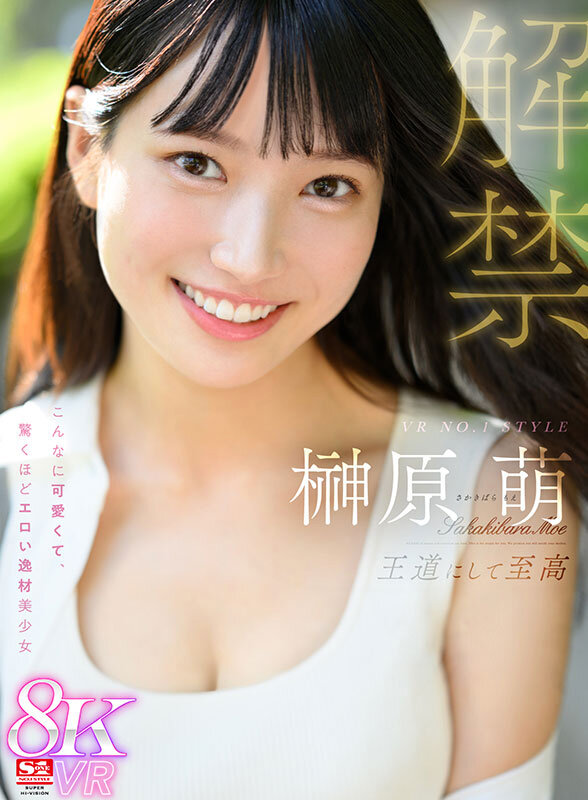 SIVR00380 サンプル13