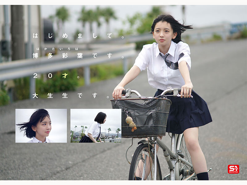 SNOS00115 サンプル2