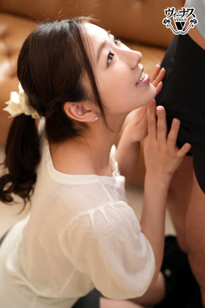 VENZ00034 サンプル8